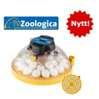 Brinsea Maxi Zoologica