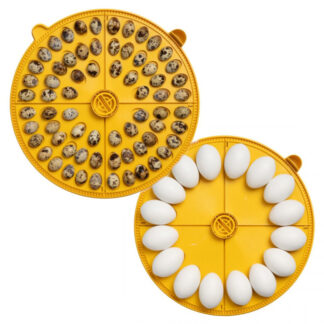 Äggbrickor Brinsea Maxi 48