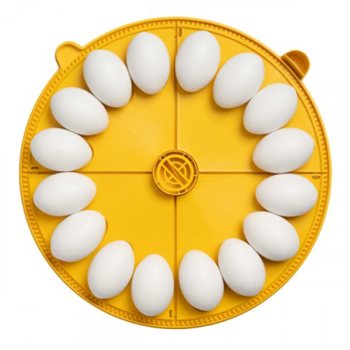 Äggbrickor Brinsea Maxi 48