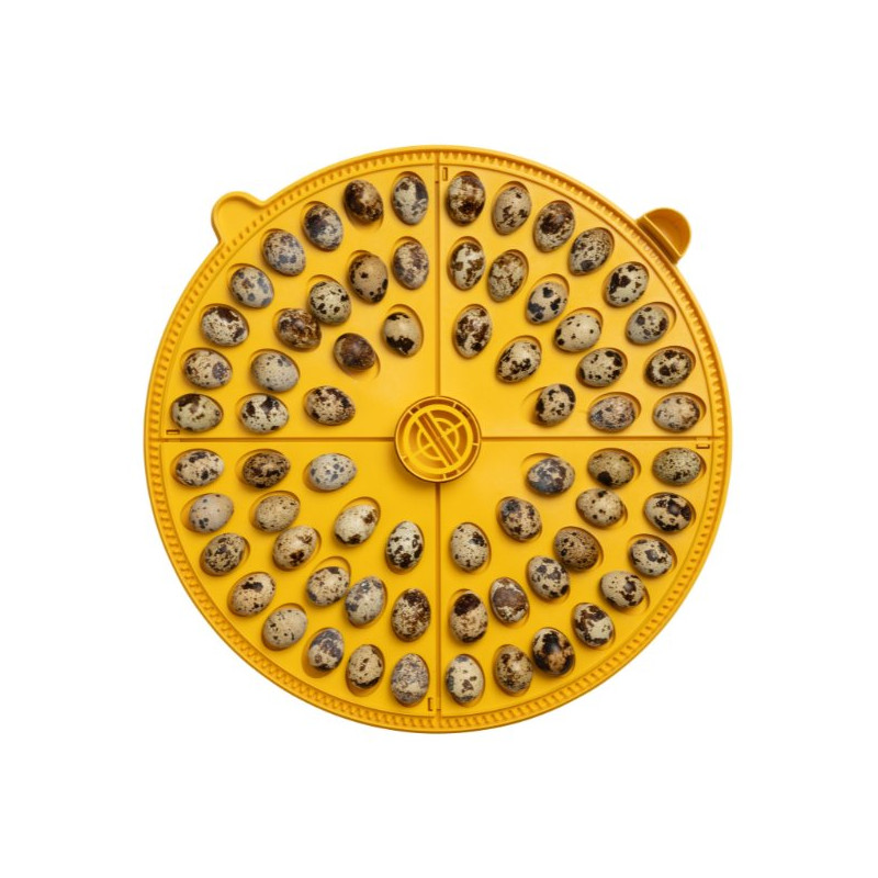 Äggbrickor Brinsea Maxi 48